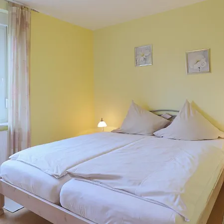 Elbsegler, 3 *