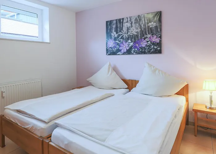 Elbsegler, 3 *